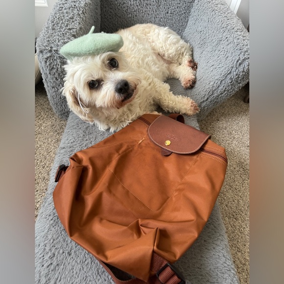 Longchamp Handbags - 👩🏻‍🎨Long Champ LE PLIAGE BACKPACK Cognac 🥲Limited Edition 🐶